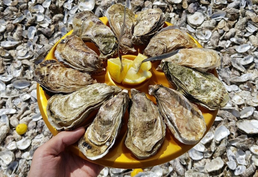 Assiette jaune d’huîtres fraîches et de citron posée sur un tas de coquilles vides.
